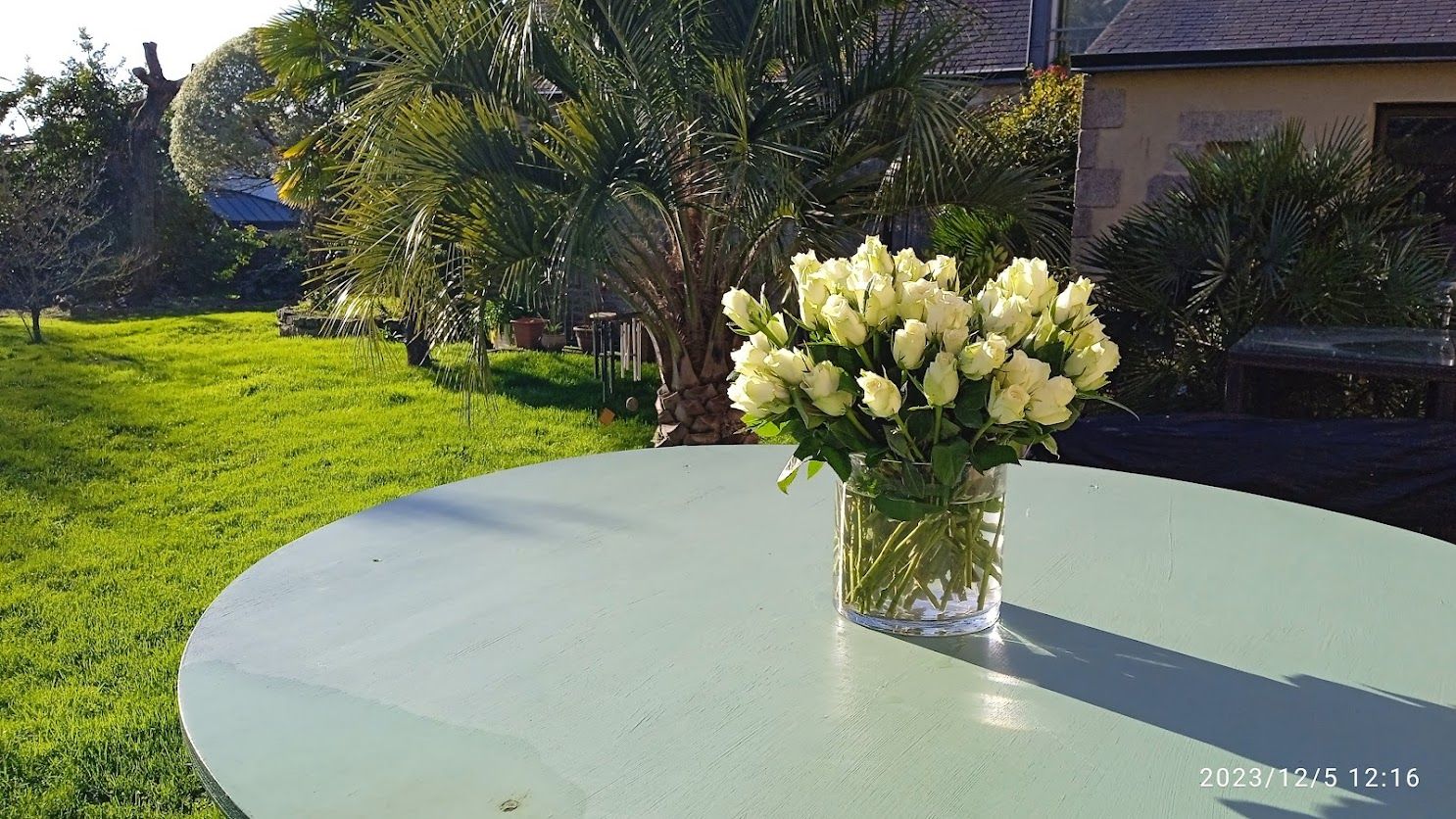 Breton Cottages with Rare Trees & Pool for Photoshoots
