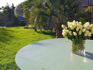 Breton Cottages with Rare Trees & Pool for Photoshoots