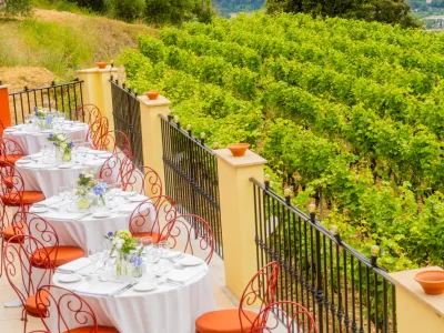 Domaine dans les Collines de Nice : Un Lieu Naturel pour Événements