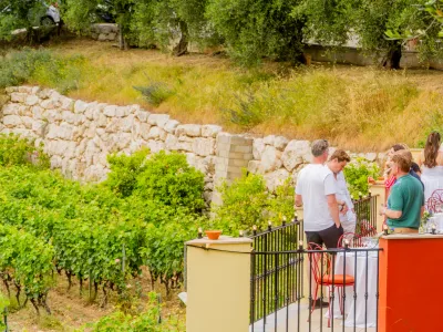 Domaine dans les Collines de Nice : Un Lieu Naturel pour Événements