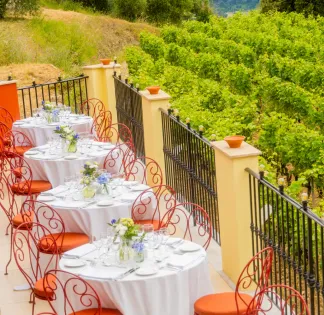 Discover a Picturesque Countryside Venue in Nice for Events