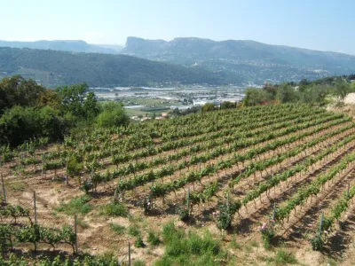 Convertible Vineyard Venue for Events in Nice