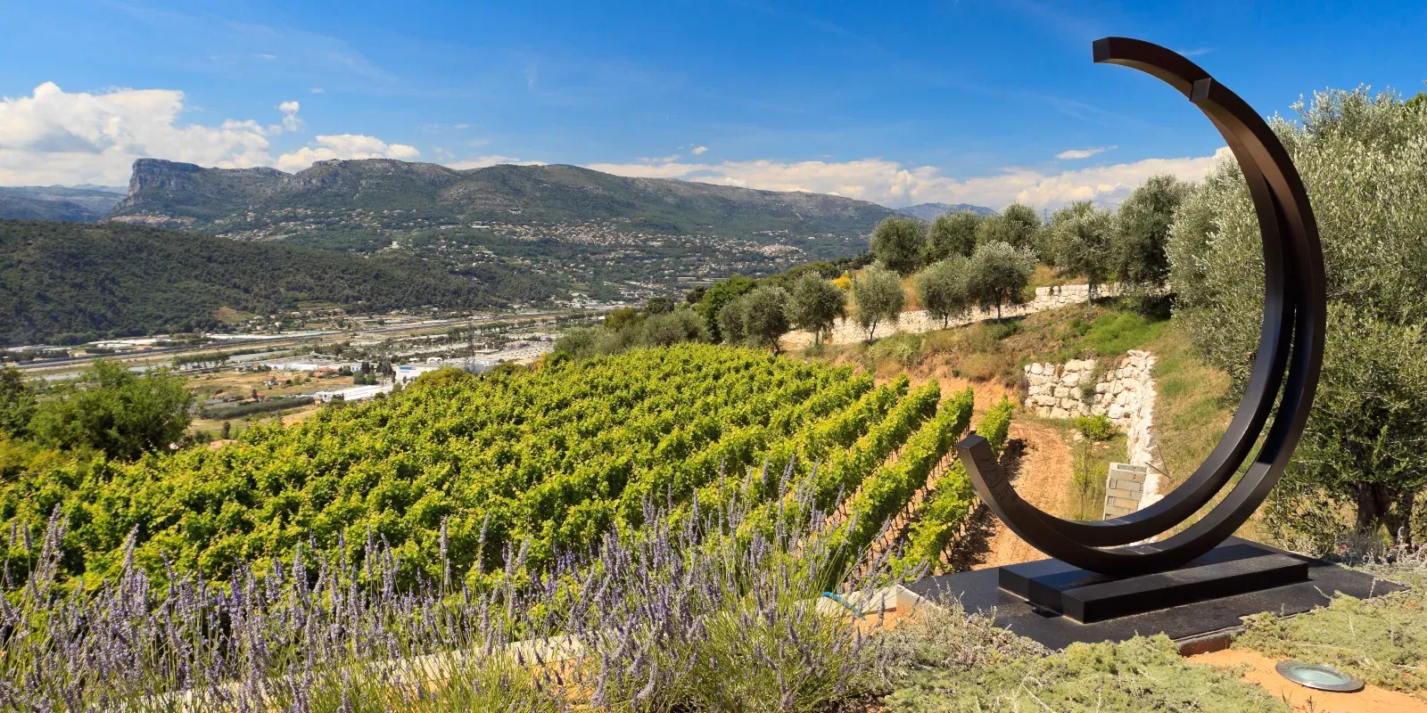 Espace Événementiel Convertible au Cœur des Vignes de Nice
