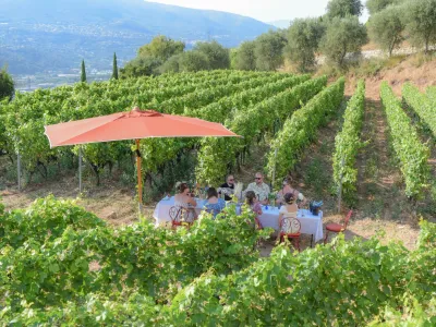 Convertible Vineyard Venue for Events in Nice