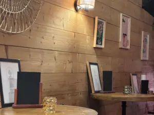 Bar Iconique du Vieux-Nice : Un Lieu Légendaire pour Soirées & Cocktails