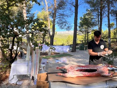 Large garden with swimming pool in the Aix countryside with sea views