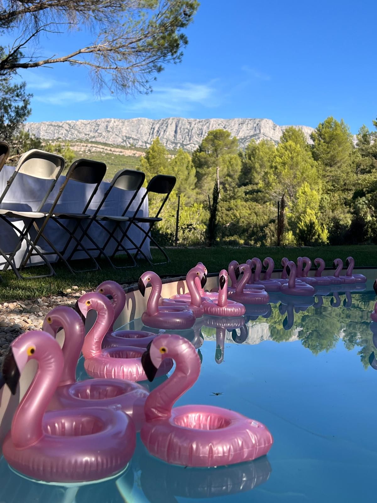 Large garden with swimming pool in the Aix countryside with sea views