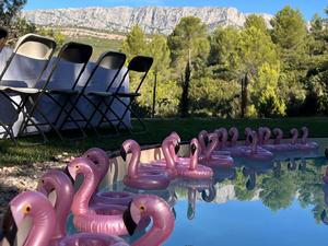 Large garden with swimming pool in the Aix countryside with sea views