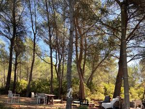Large garden with swimming pool in the Aix countryside with sea views