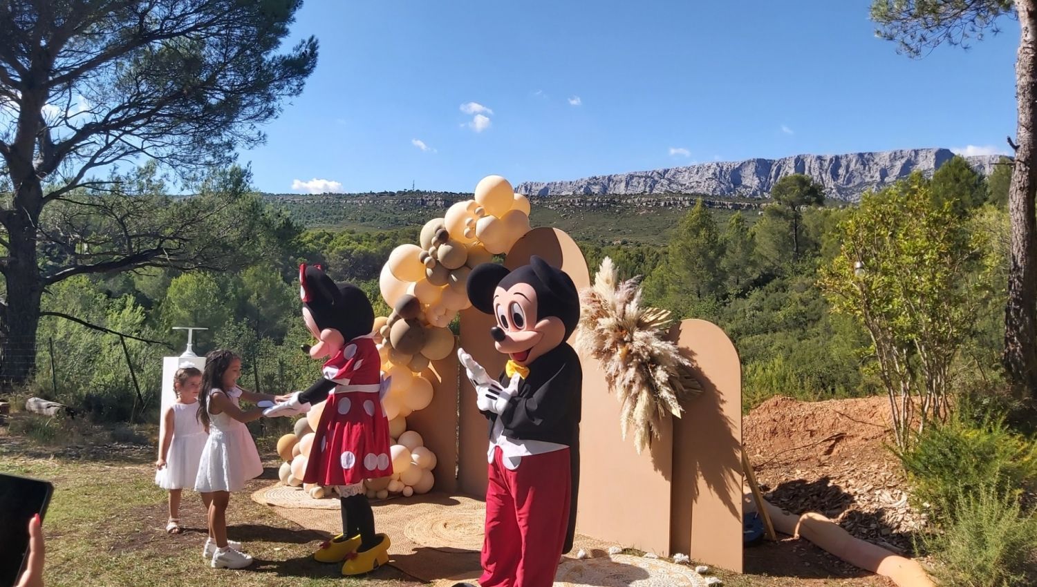 Exclusive Vineyard Venue with Mont Sainte Victoire Views in Rousset