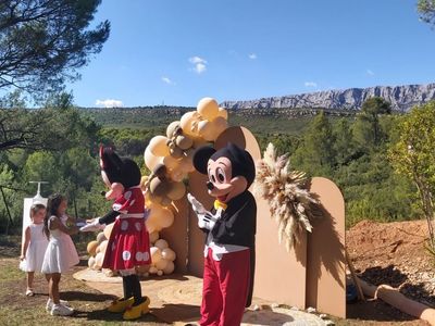 Large garden with swimming pool in the Aix countryside with sea views