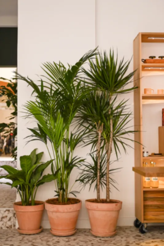 Saint-Lazare Event Venue: Catering, Workshops & Private Hire