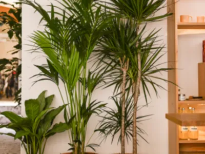 Saint-Lazare Event Venue: Catering, Workshops & Private Hire