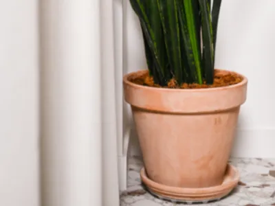 Salle de réunion lumineuse sur cour à Paris pour événements professionnels