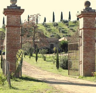 Ferme Sicilienne & Oliveraie : Événements Durables au Cœur de la Nature