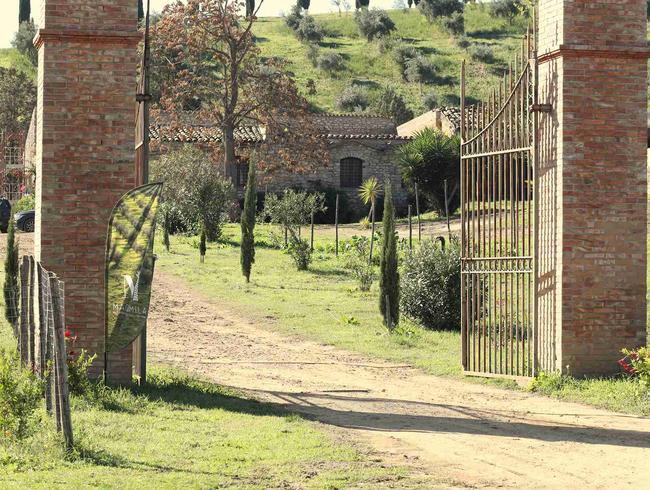 Sicilian Farm & Olive Grove: Sustainable Events in Nature