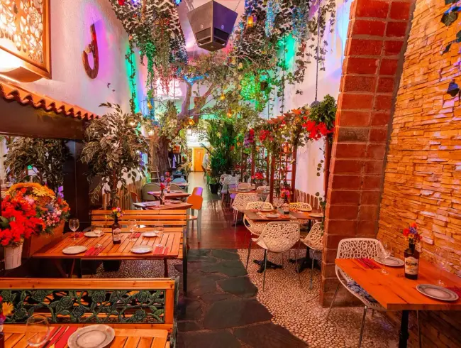 Urban Oasis: A Nature-Inspired Venue for Corporate Events in Barcelona