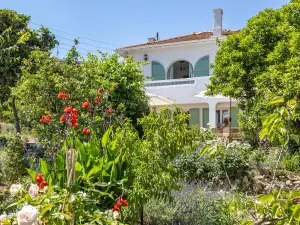 Beautiful Villa near Palais des Festivals & Croisette in Cannes