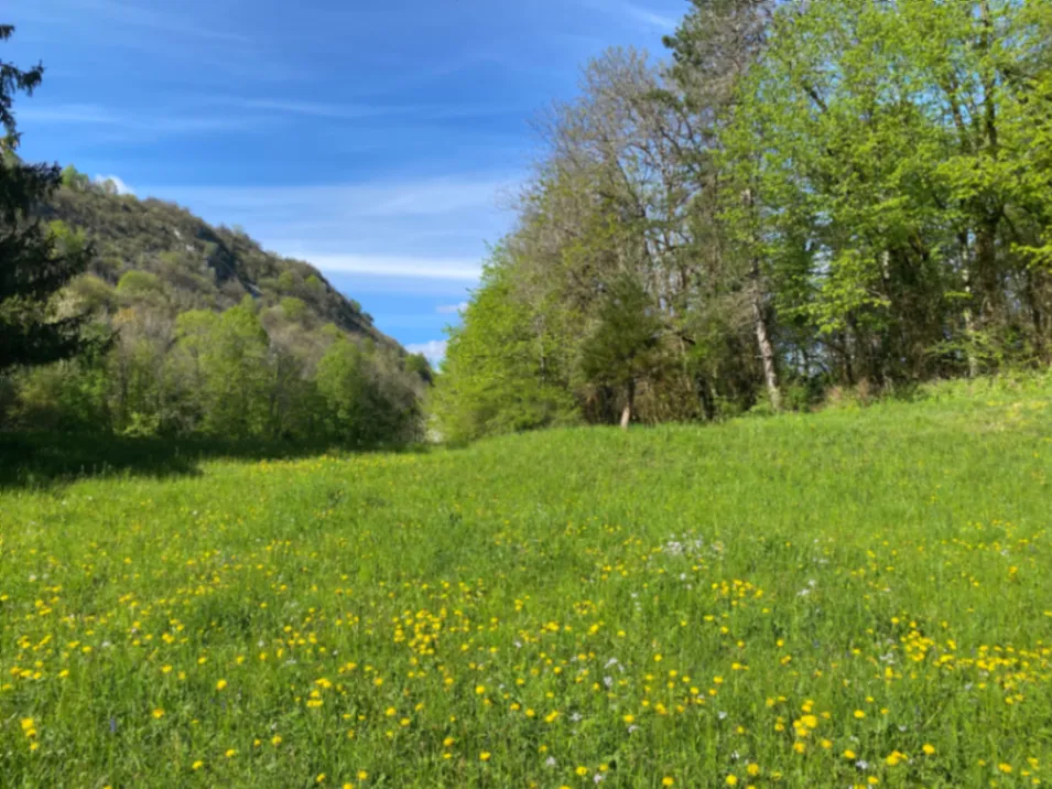 Domaine de Château du XIIe Siècle : Lieu Historique pour Événements dans le Haut-Jura