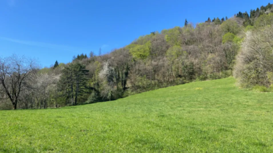 Domaine Historique du XIIe Siècle pour Événements Exclusifs dans le Haut-Jura