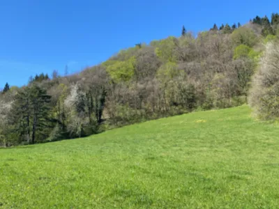 Historic 12th-Century Estate for Exclusive Events in the Haut-Jura