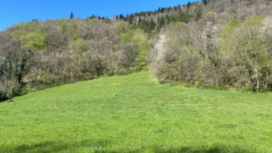 Domaine Historique du XIIe Siècle pour Événements Exclusifs dans le Haut-Jura