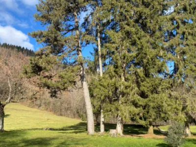 Historic 12th-Century Estate for Exclusive Events in the Haut-Jura