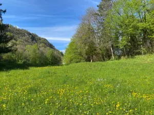 Domaine de Château du XIIe Siècle : Lieu Historique pour Événements dans le Haut-Jura