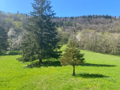 Domaine de Château du XIIe Siècle : Lieu Historique pour Événements dans le Haut-Jura