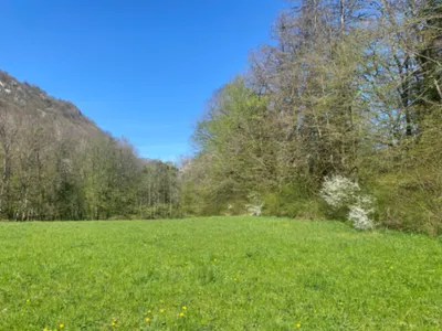 Domaine de Château du XIIe Siècle : Lieu Historique pour Événements dans le Haut-Jura