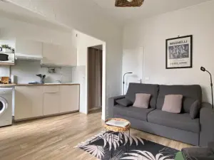 Beautiful Studio Apartment Near Cannes Palais des Festivals