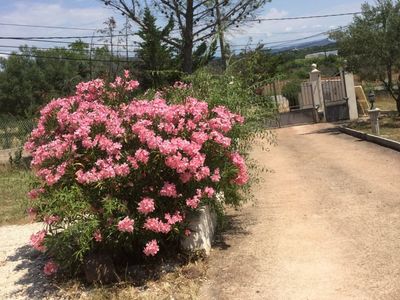 EVG2Mazets+love roulotte23 pers piscine discothèque