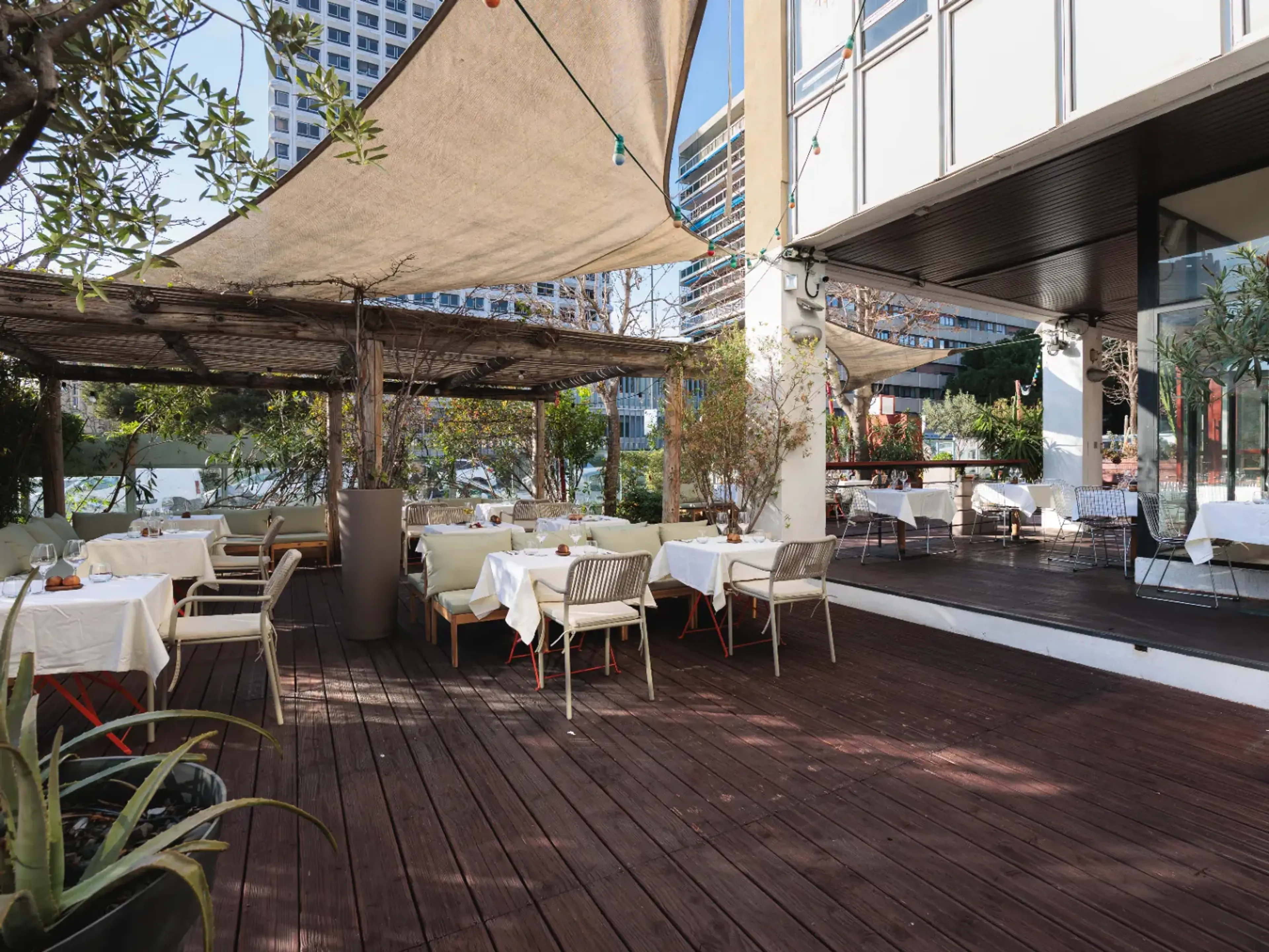 Terrasse Végétalisée 200m²