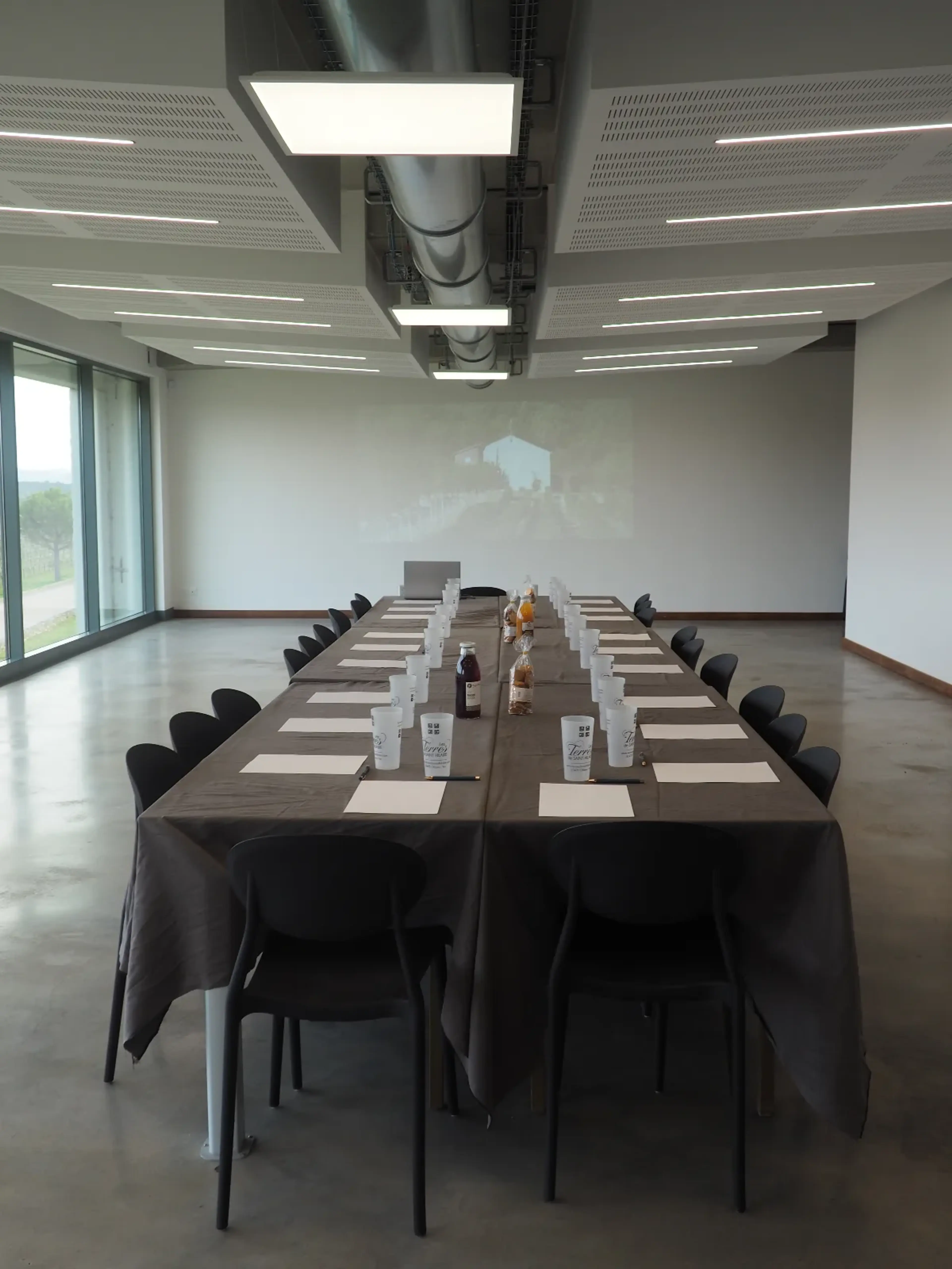 Salle Cinsault