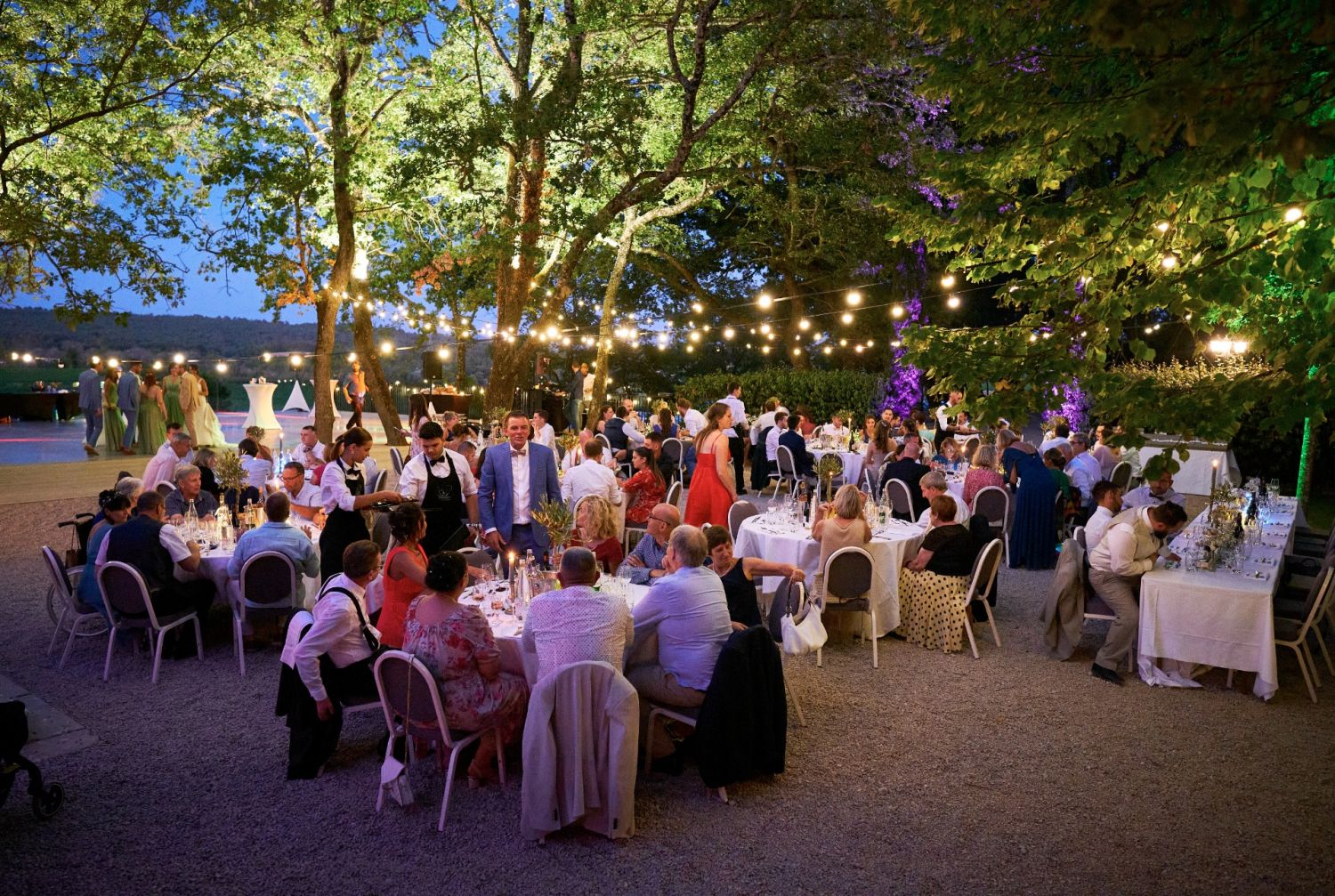 Vineyard Panorama Venue for Events