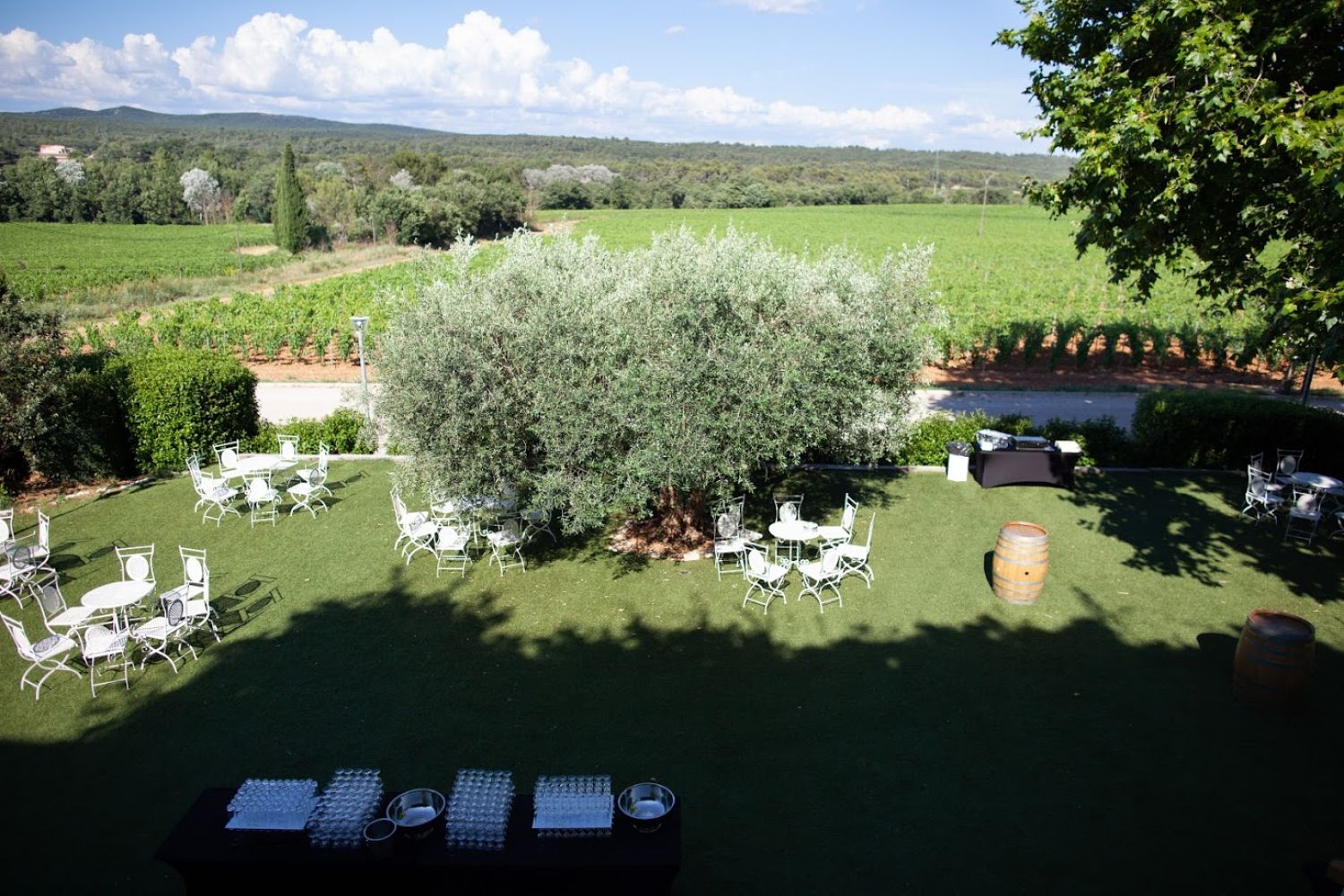 Vineyard Panorama Venue for Events