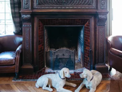 Salon Saint Hubert | Elegant Event Venue Near Paris