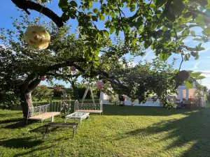 Orchard in Recloses – Peaceful Natural Venue Near Fontainebleau