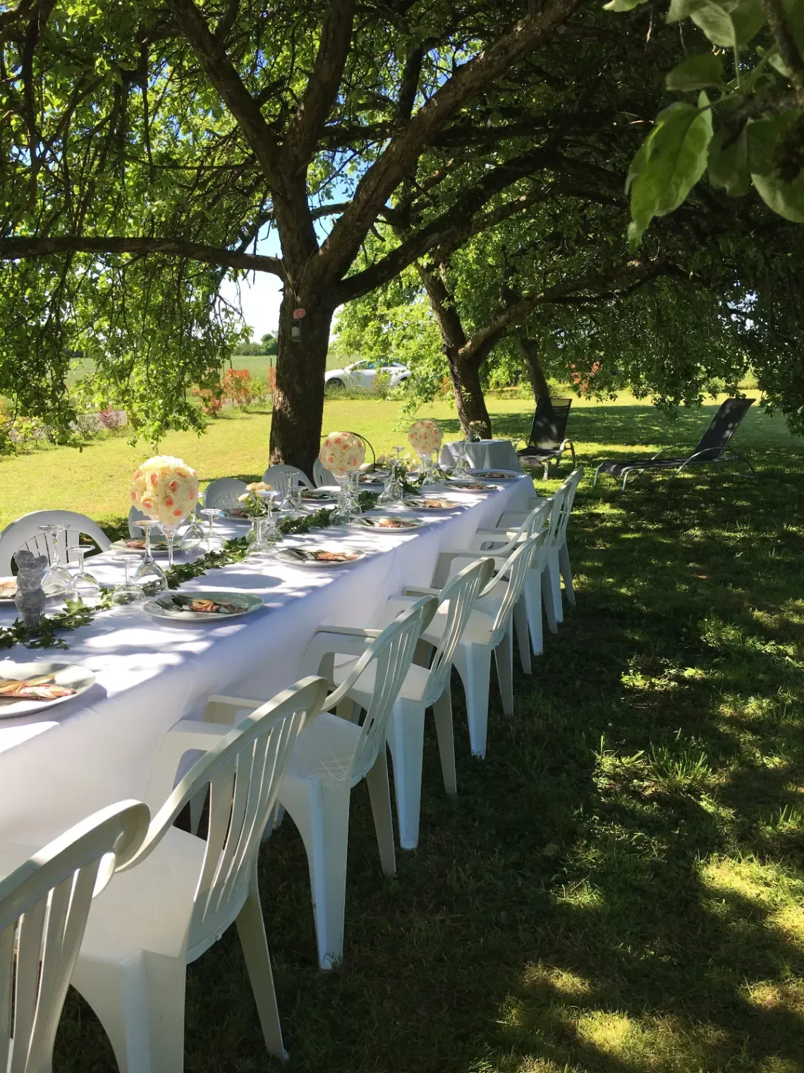 Orchard in Recloses – Peaceful Natural Venue Near Fontainebleau