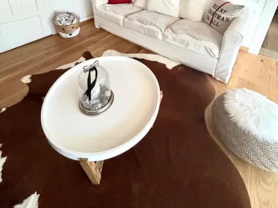 3.5 Bedroom Apartment in Davos Platz – Swiss Style Living