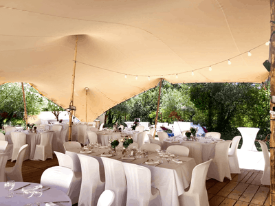 Large estate between vineyard and forest