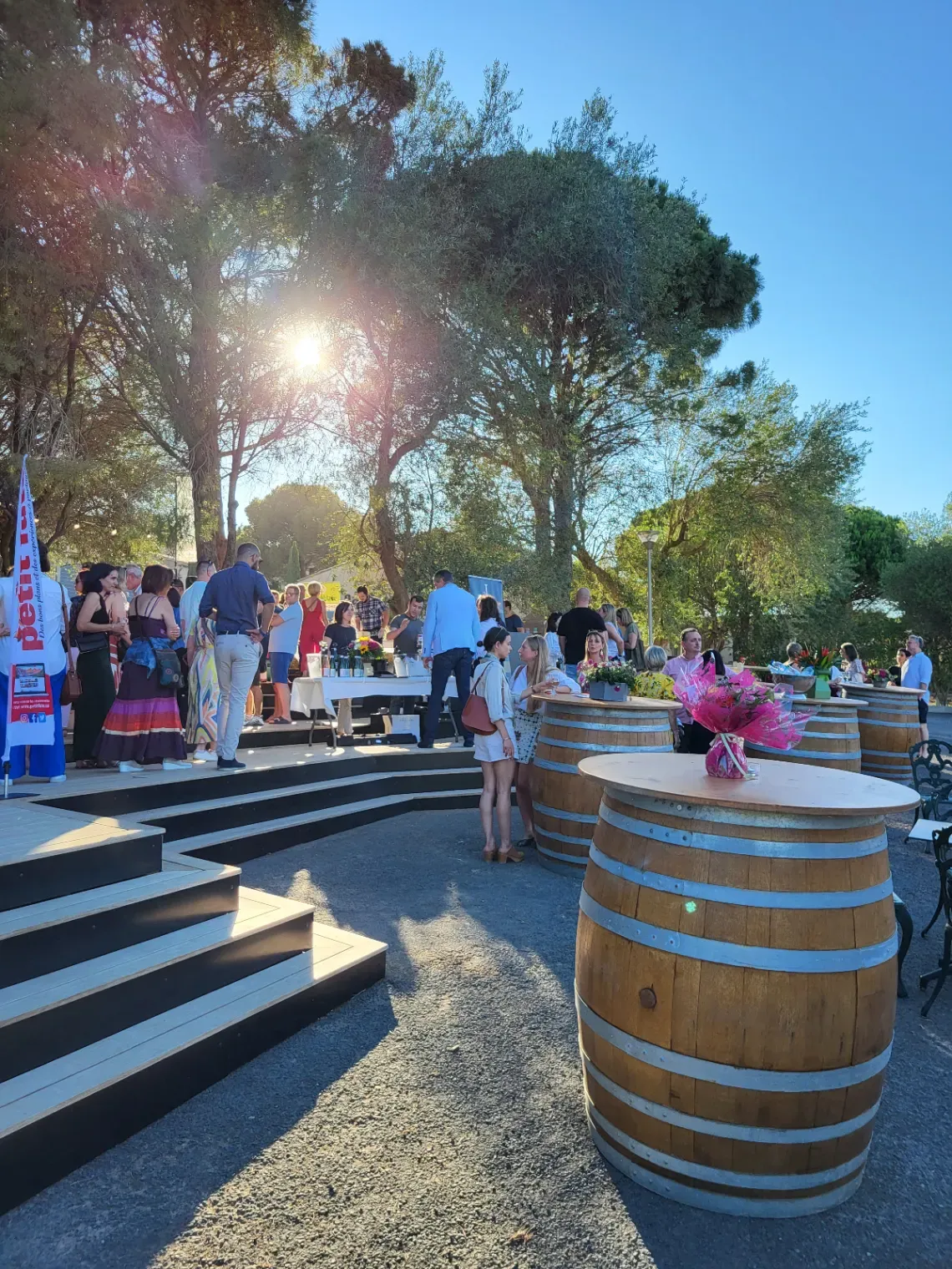Pinède au Château de Lastours