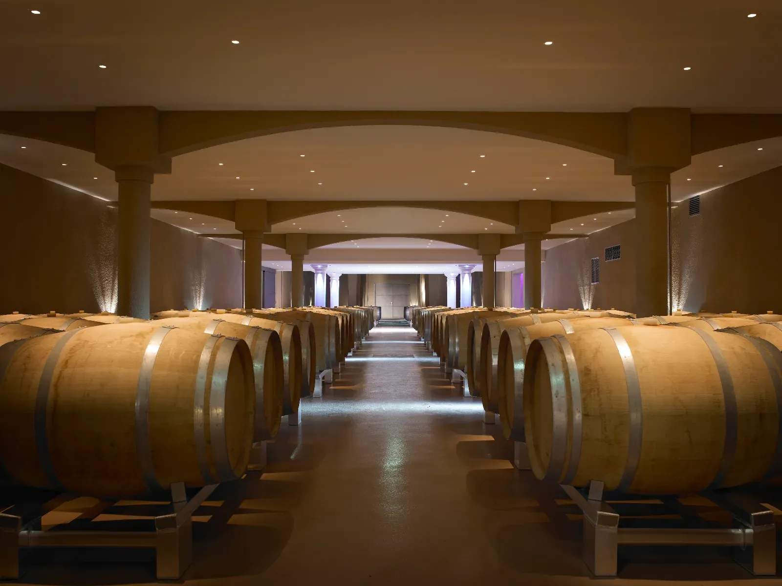 Lieu de réception unique dans une cave à vin