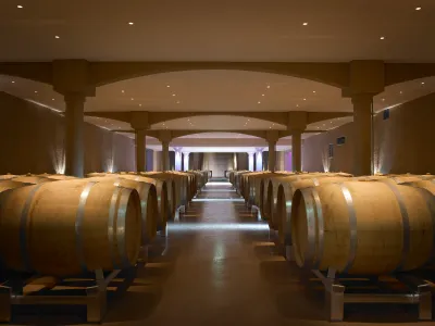 Lieu de réception unique dans une cave à vin