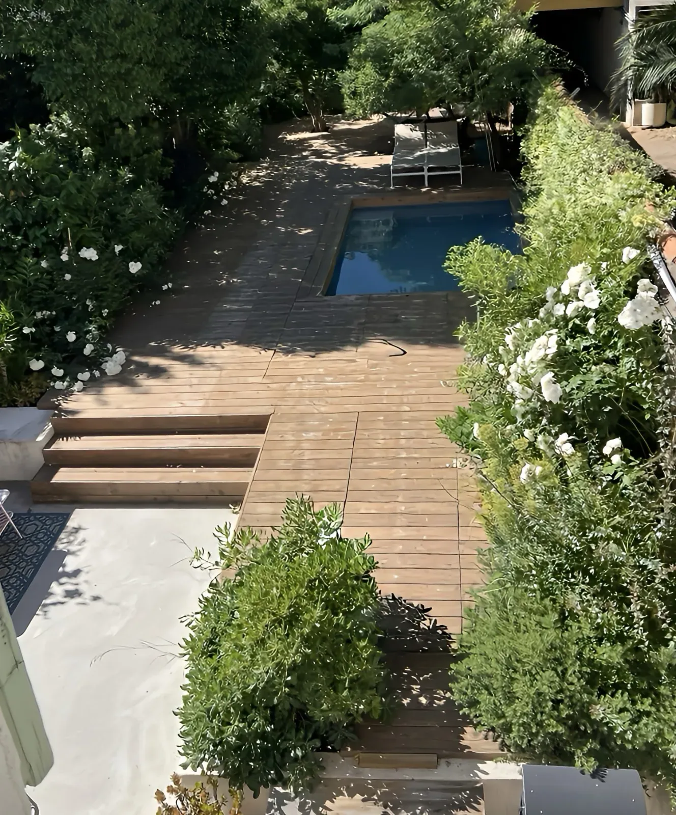 Jardin 