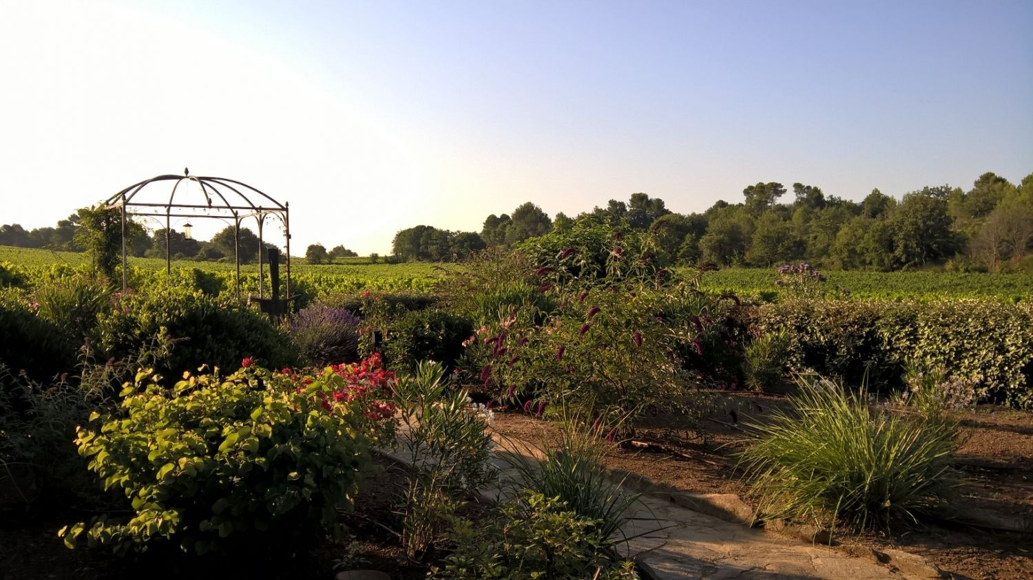 Mas des Graviers, vineyard with old stone farmhouse