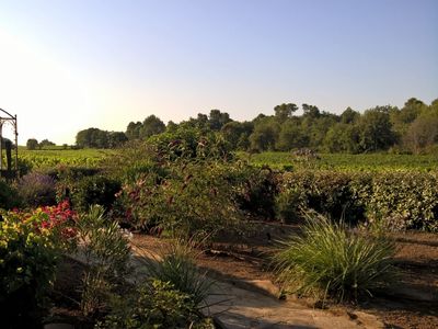 Mas des Graviers, vineyard with old stone farmhouse