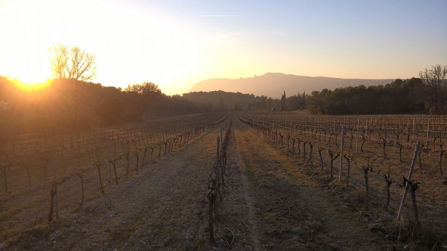 Mas des Graviers, vineyard with old stone farmhouse