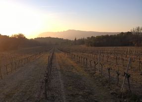 Mas des Graviers, vineyard with old stone farmhouse