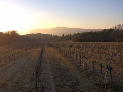 Mas des Graviers, vineyard with old stone farmhouse